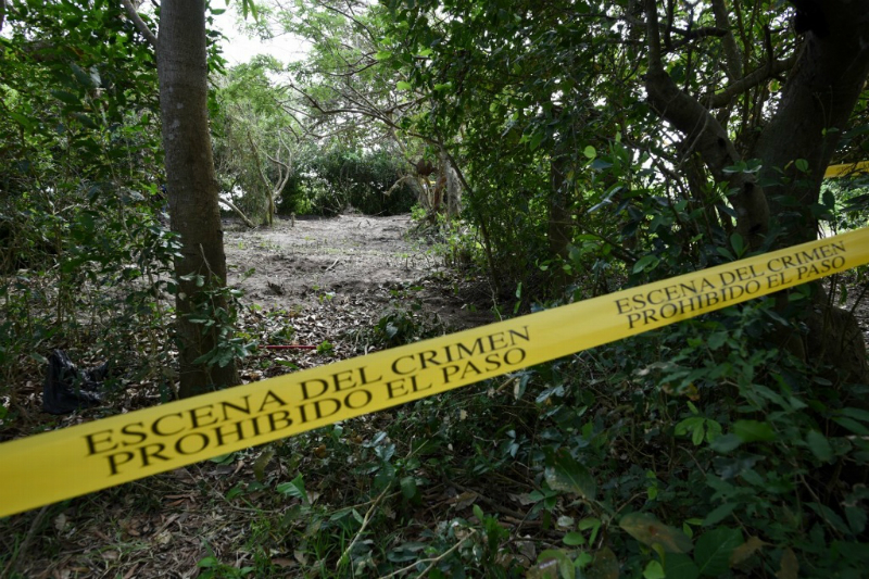 Suman 24 cuerpos hallados en fosa clandestina de Michoacán. Noticias en tiempo real