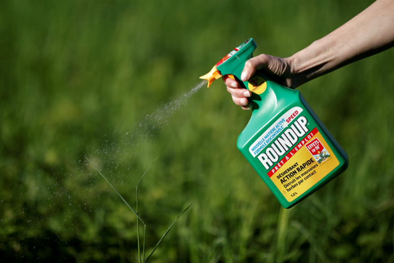 Farmacéutico alemán pagará 40 mdd en caso por herbicida de Monsanto. Noticias en tiempo real