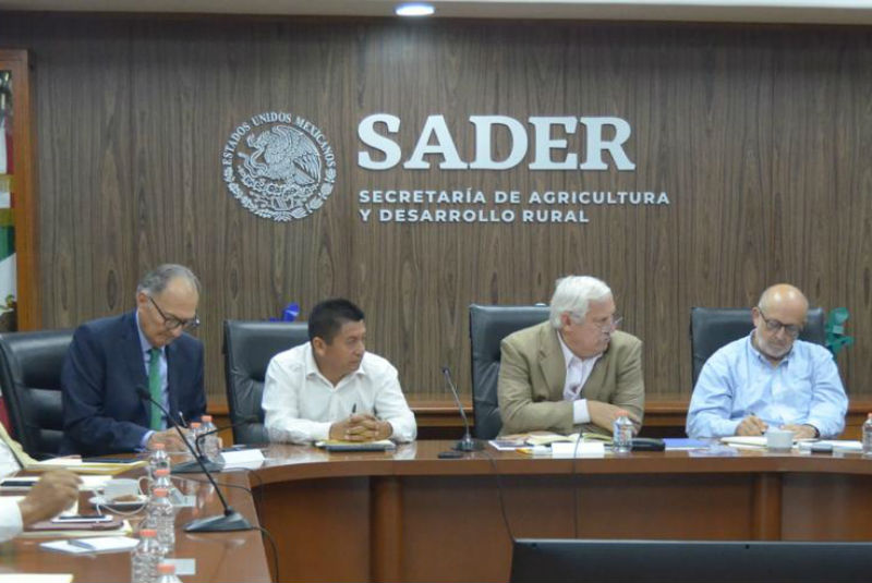 Exportaciones agropecuarias y agroindustriales generaron más de 28 mmdd: Sader. Noticias en tiempo real