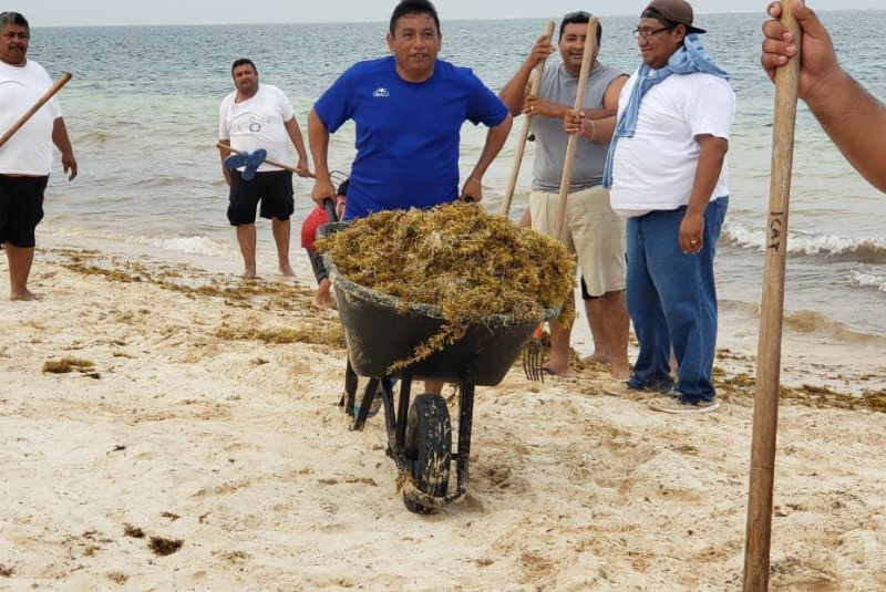 El gobernador de Quintana Roo reportó lo realizado con respecto al sargazo.