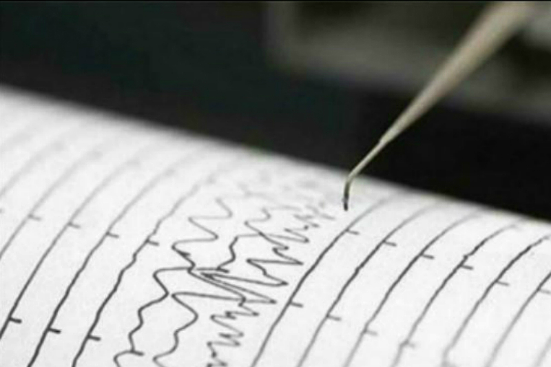 Norte de Chile registra sismo de magnitud 5.0. Noticias en tiempo real