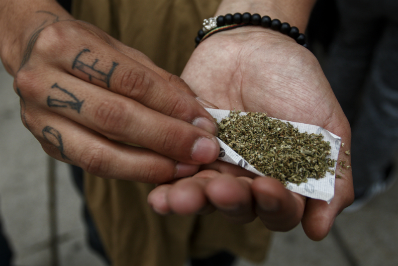 Primera Clínica de Cannabis en México rechaza comercializar mariguana. Noticias en tiempo real