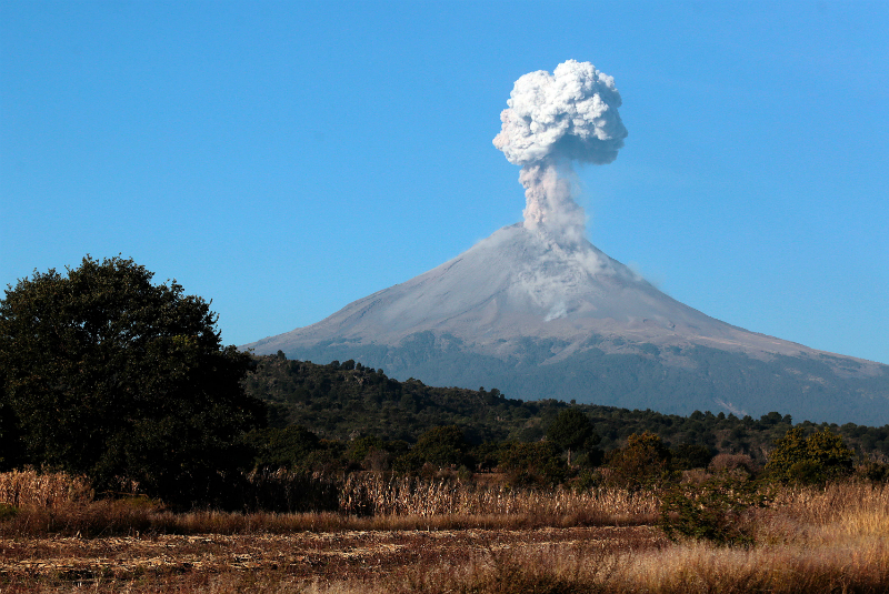 Popocatépetl emite 147 exhalaciones en las últimas 24 horas. Noticias en tiempo real