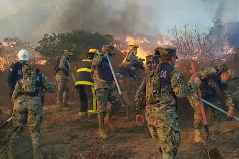 Incendios en Baja California dejan al menos dos muertos (+video). Noticias en tiempo real