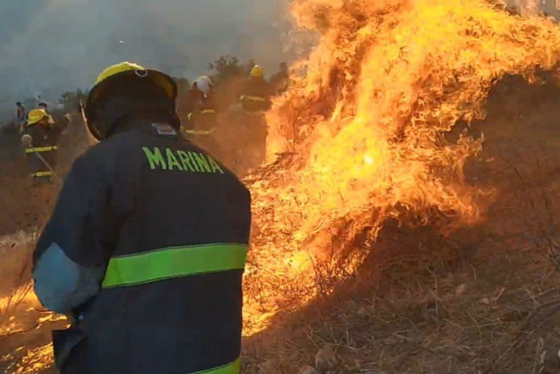 10 mil hectáreas afectadas tras incendio en BC. Noticias en tiempo real