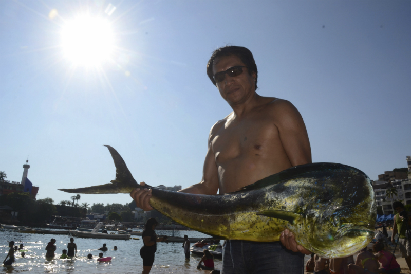 Asetur rechaza la pesca comercial del Dorado. Noticias en tiempo real