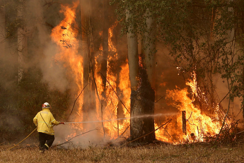 Ordenan a australianos desalojar residencias por fuertes incendios. Noticias en tiempo real