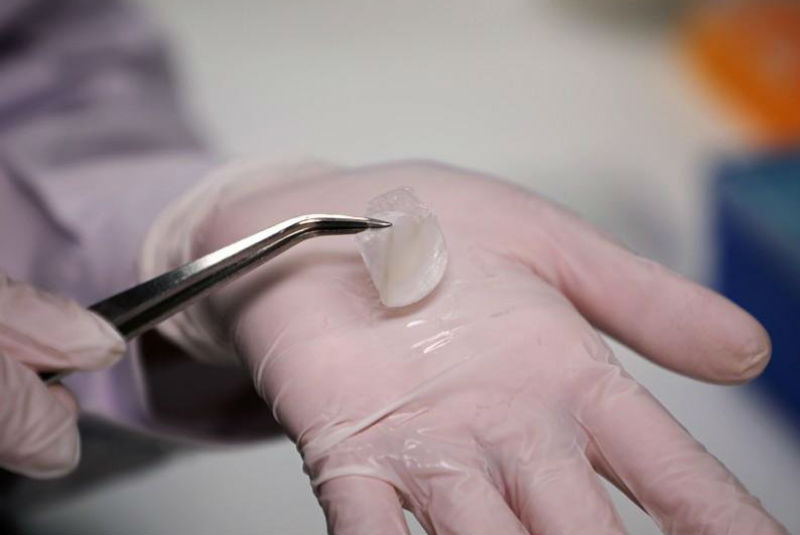 Una membrana en un minuto: científicos de Singapur producen piel humana in-vitro. Noticias en tiempo real