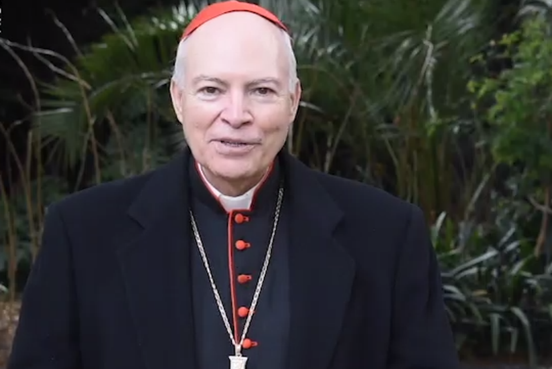 Papa Francisco nombra tres obispos auxiliares para Arquidiócesis de México (+video). Noticias en tiempo real