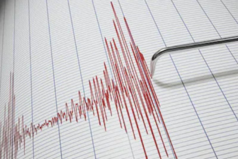 Se registra sismo de 4.9 en Oaxaca. Noticias en tiempo real