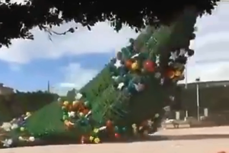 Fuertes vientos derriban árbol de Navidad en Ixmiquilpan, Hidalgo (+video). Noticias en tiempo real