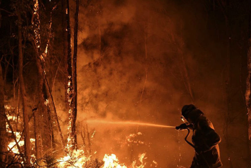 Incendios en Australia, una tragedia: Hugh Jackman. Noticias en tiempo real