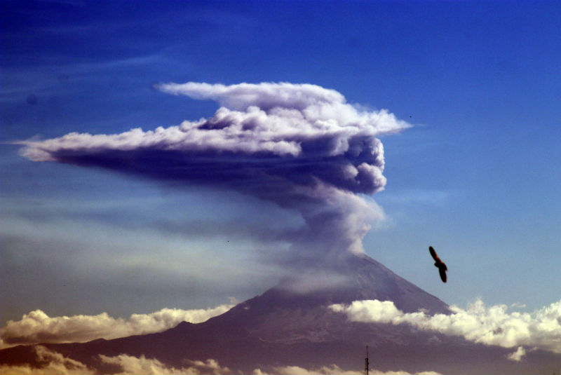 Emite Popocatépetl 210 exhalaciones en últimas 24 horas. Noticias en tiempo real