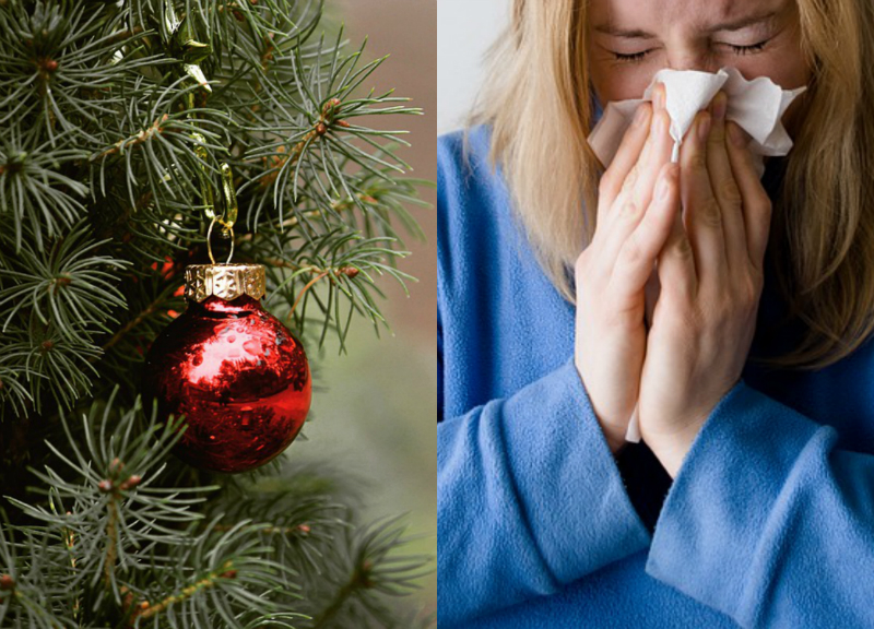 ¿Aún no quitas tu árbol de Navidad? ¡Podría causarte rinitis alérgica!. Noticias en tiempo real