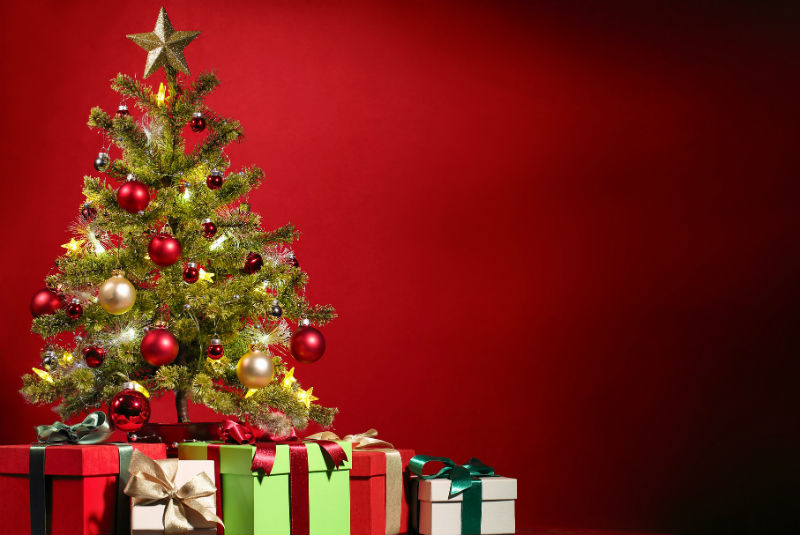 Sácale provecho a tu árbol de Navidad. Noticias en tiempo real