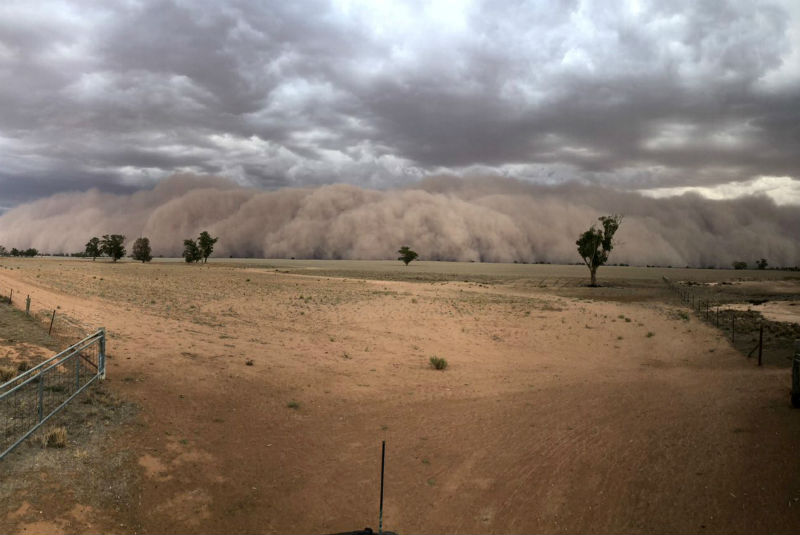 Australia registra condiciones climáticas extremas. Noticias en tiempo real
