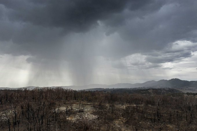 Lluvias en Australia ayudan a extinguir incendios forestales; podrían provocar inundaciones. Noticias en tiempo real