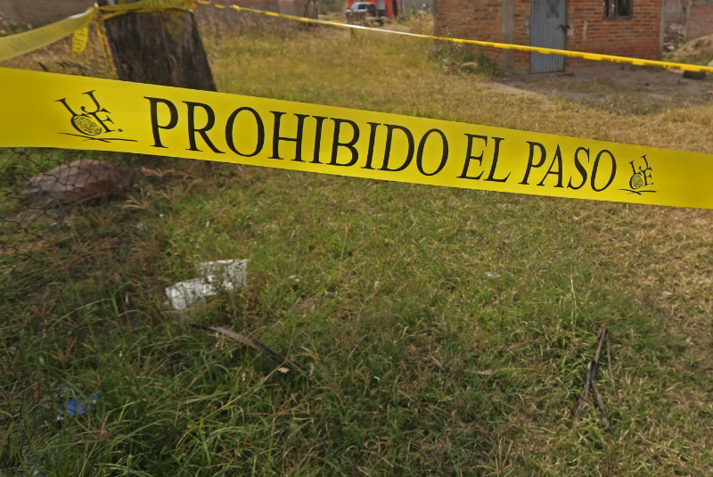 Difunden nombres de dueños de 36 credenciales halladas en fosas de Veracruz. Noticias en tiempo real