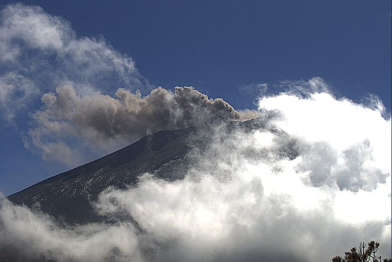 Popocatépetl emite 67 exhalaciones en últimas 24 horas. Noticias en tiempo real