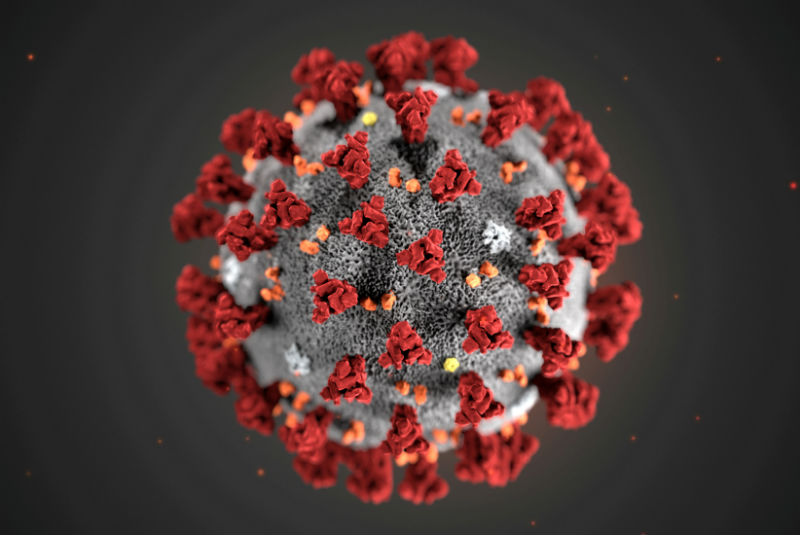 Al menos el 80% de casos de coronavirus son benignos, señala estudio. Noticias en tiempo real