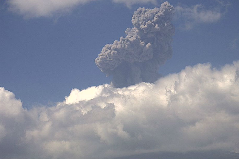 Popocatépetl emite 263 exhalaciones en últimas 24 horas. Noticias en tiempo real
