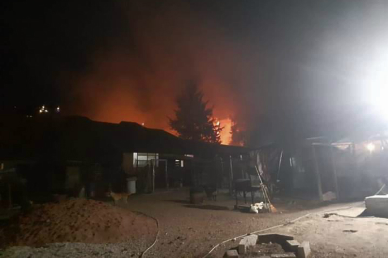 Incendian Manada San, refugio que alberga a más de 300 animales (+fotos). Noticias en tiempo real