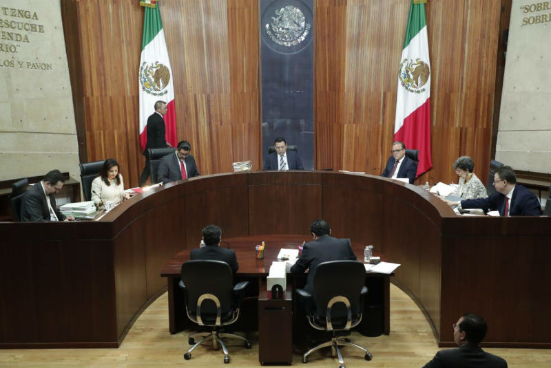 TEPJF confirma la figura de diputado migrante en la Ciudad de México. Noticias en tiempo real