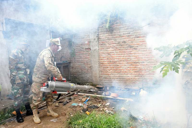 Suman 34 muertes por dengue en Paraguay; epidemia pierde fuerza. Noticias en tiempo real
