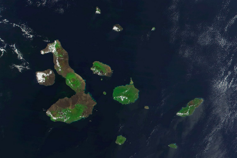 Más de ocho toneladas de basura son retiradas de las islas Galápagos. Noticias en tiempo real