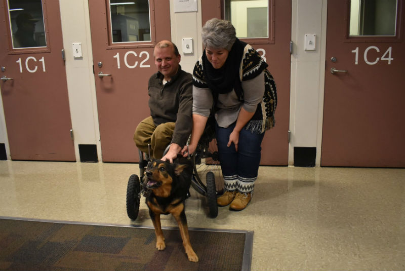 Luego de varios rechazos, perrito paralítico es adoptado por un hombre en silla de ruedas (+fotos+video). Noticias en tiempo real