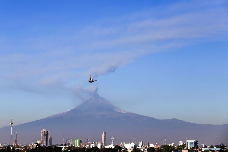 Reportan 234 exhalaciones y nueve explosiones en el Popocatépetl. Noticias en tiempo real
