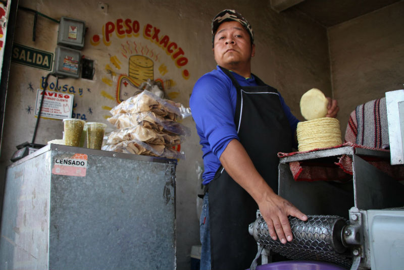 Busca Guerrero estabilizar precio de la tortilla. Noticias en tiempo real