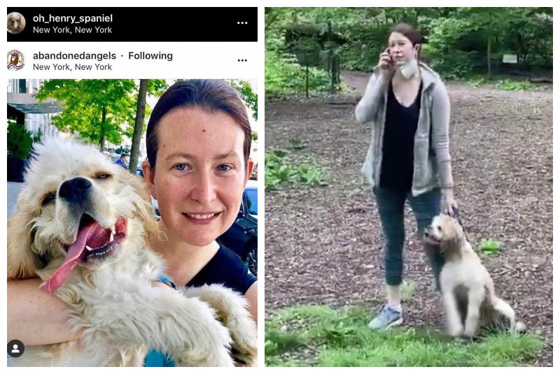 Denuncia racista de una mujer blanca en Central Park se vuelve viral (+video). Noticias en tiempo real