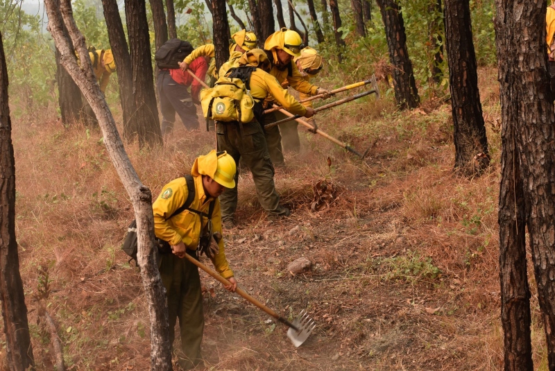 Suben a 70 los incendios forestales activos en México. Noticias en tiempo real