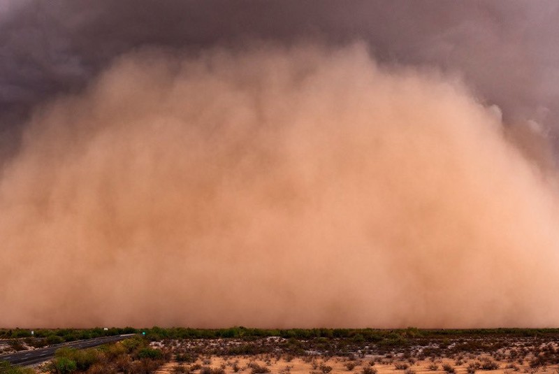 UNAM transmitirá conferencia sobre tormentas de polvo del Sahara y sus efectos en México. Noticias en tiempo real