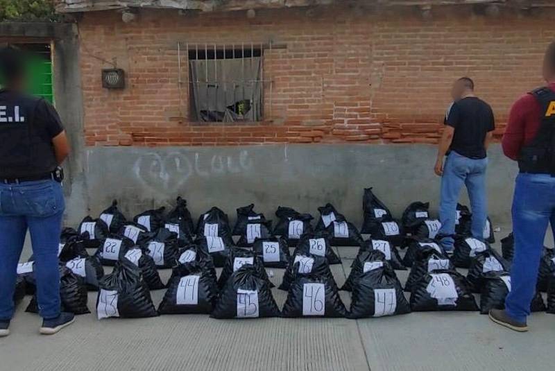 Fiscalía de Oaxaca asegura 25 mil huevos de tortuga en operativo del Istmo de Tehuantepec . Noticias en tiempo real