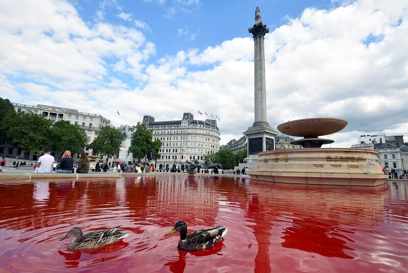 Activistas por los animales tiñen de rojo el agua de fuentes de la Plaza Trafalgar en Londres (+fotos). Noticias en tiempo real