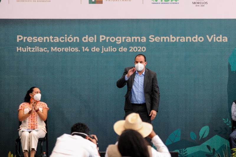 Programa Sembrando Vida llega a 23 municipios de Morelos. Noticias en tiempo real