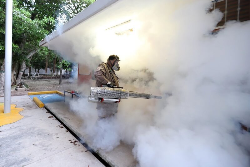 Confirman el primer fallecimiento por dengue de este año en Jalisco. Noticias en tiempo real