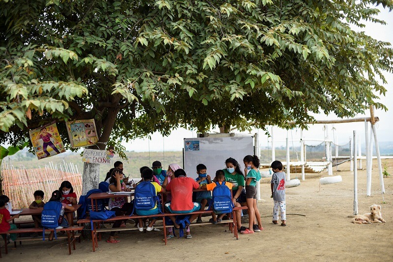 Adolescente instala escuela improvisada bajo un árbol para ayudar a niños sin Internet (+fotos). Noticias en tiempo real