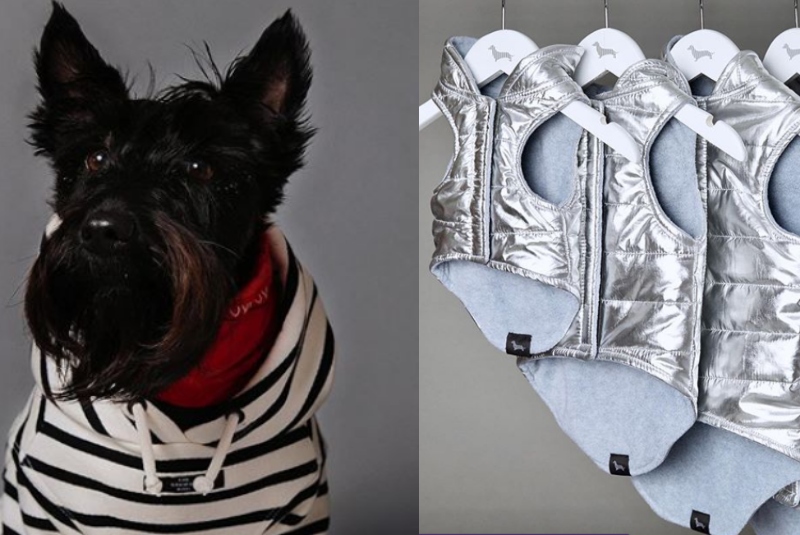 Guau! Conoce la marca de ropa más cool para perritos en onda (+fotos) - 24  Horas