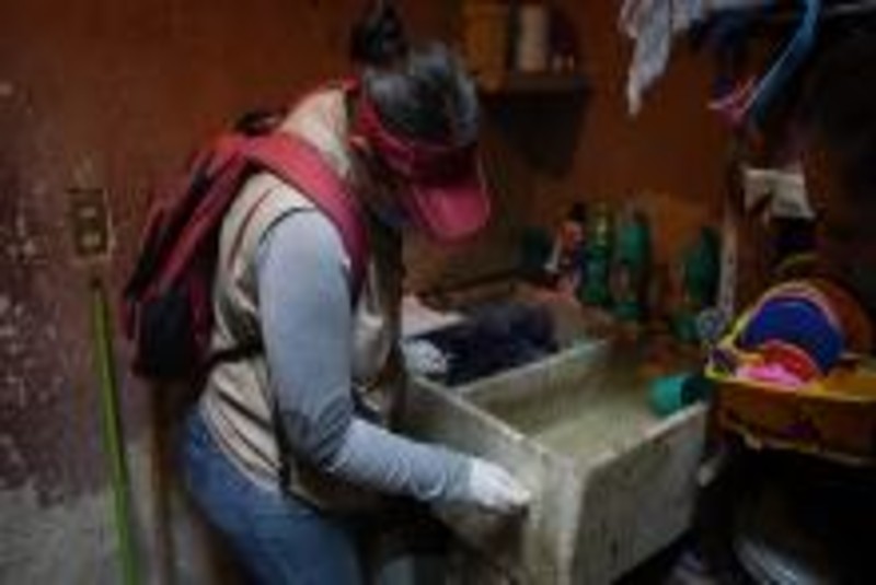 Suman mil 340 casos de dengue en Jalisco; con brigadas combaten al mosco transmisor. Noticias en tiempo real