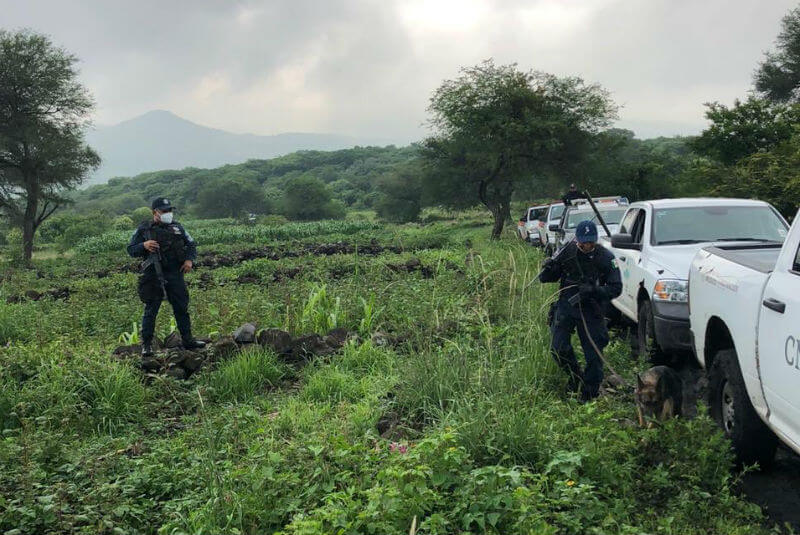 Guanajuato inicia búsqueda de personas desaparecidas. Noticias en tiempo real