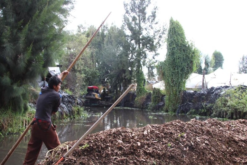Limpian 160 kilómetros de canales en Xochimilco. Noticias en tiempo real