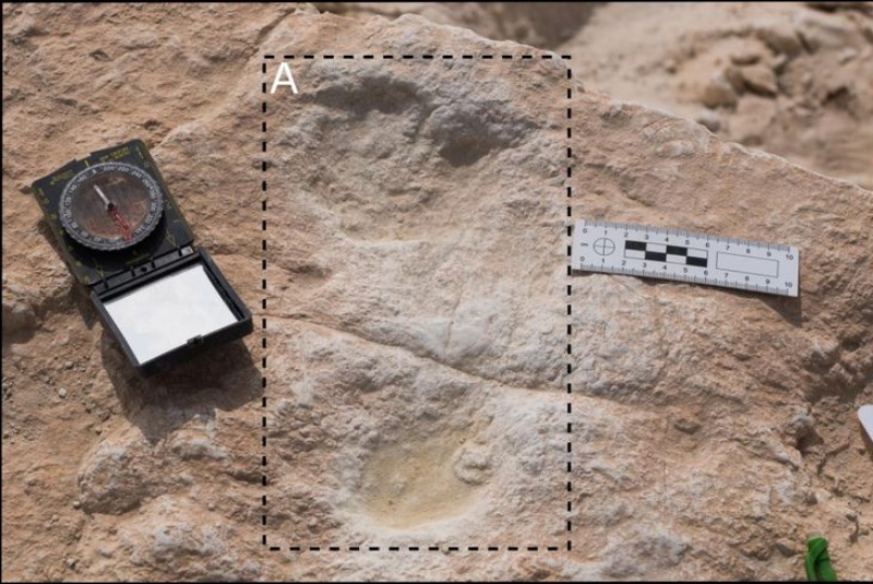 Hallan huellas humanas de hace 120 mil años en Arabia (+video). Noticias en tiempo real
