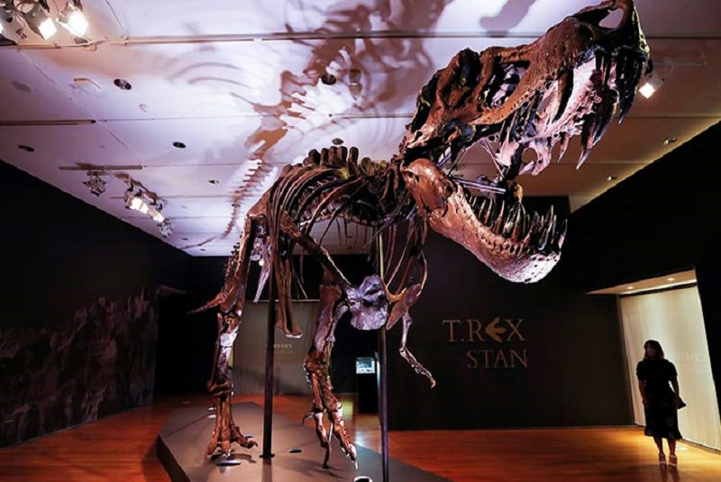 extinción-masiva-dinosaurio