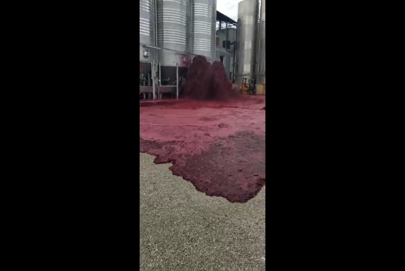 Se pierden más de 50 mil litros de vino tras reventar un contenedor (+video). Noticias en tiempo real