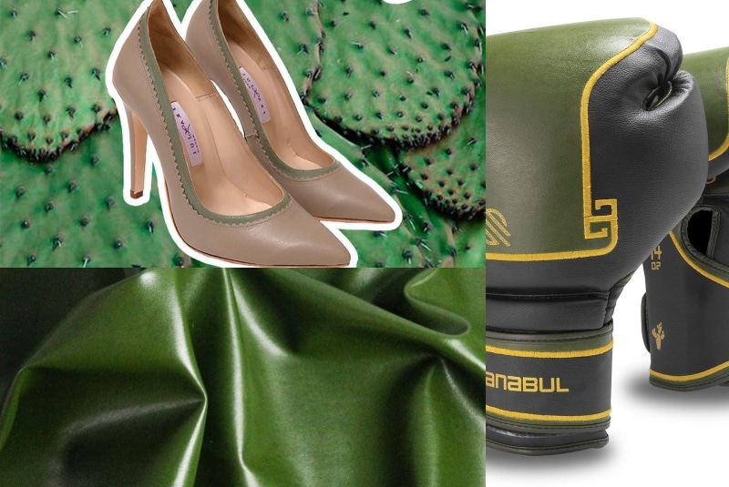 Zapatos, bolsas y guantes de box; conoce todos los productos hechos con piel de nopal (+fotos). Noticias en tiempo real