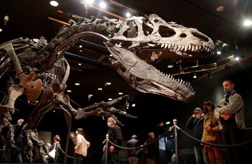 Venden esqueleto de dinosaurio en  mdd (+fotos) - 24 Horas