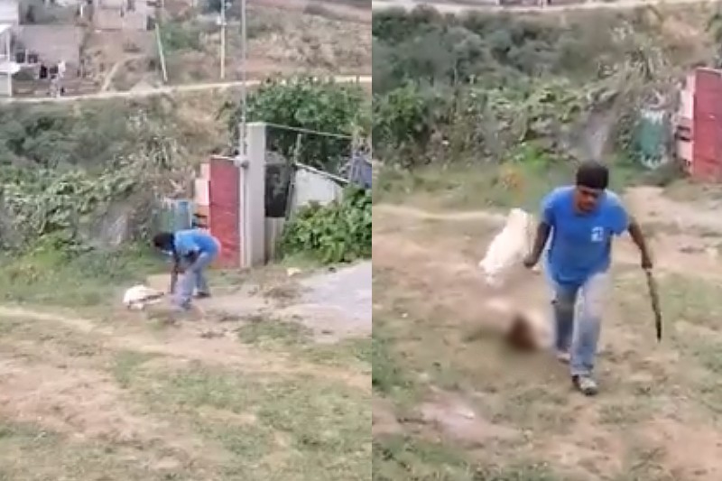 machetazos a una perrita en Ixtapaluca
